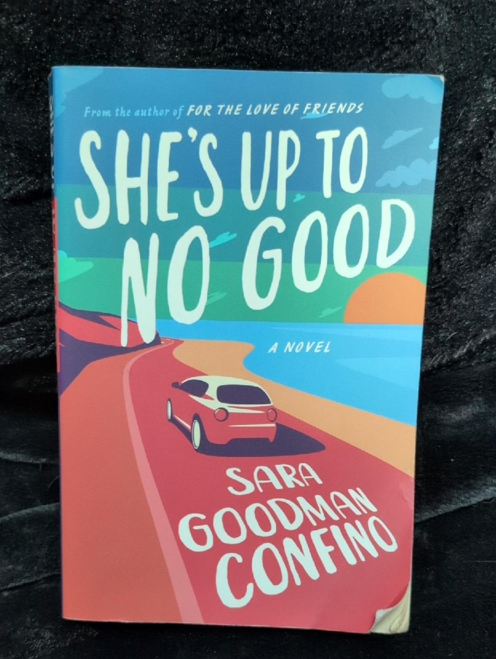 She's Up to No Good by Sara Goodman Confino